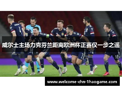 威尔士主场力克芬兰距离欧洲杯正赛仅一步之遥 威尔士主场力克芬兰距离欧洲杯正赛仅一步之遥